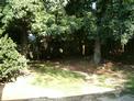 5. 445 High Point Ln. BACKYARD